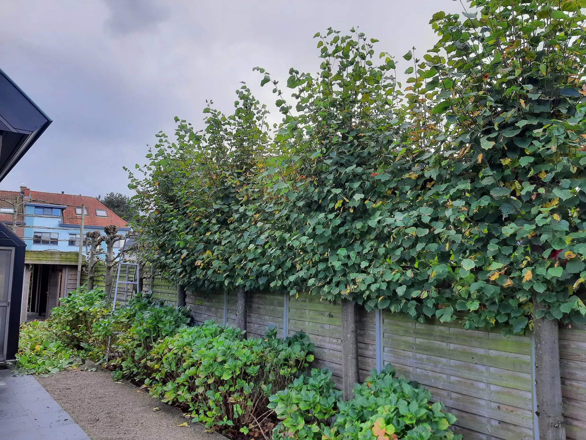Tuin winterklaar maken