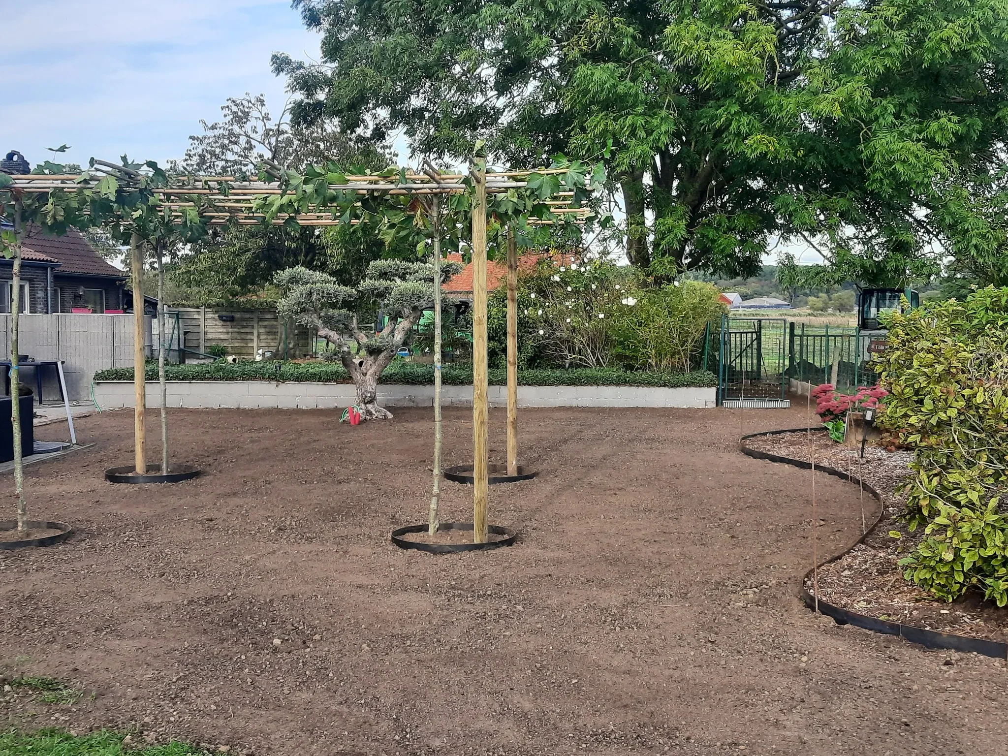 Heraanleg tuin feestzaal met groene pergola voor natuurlijke elegantie 