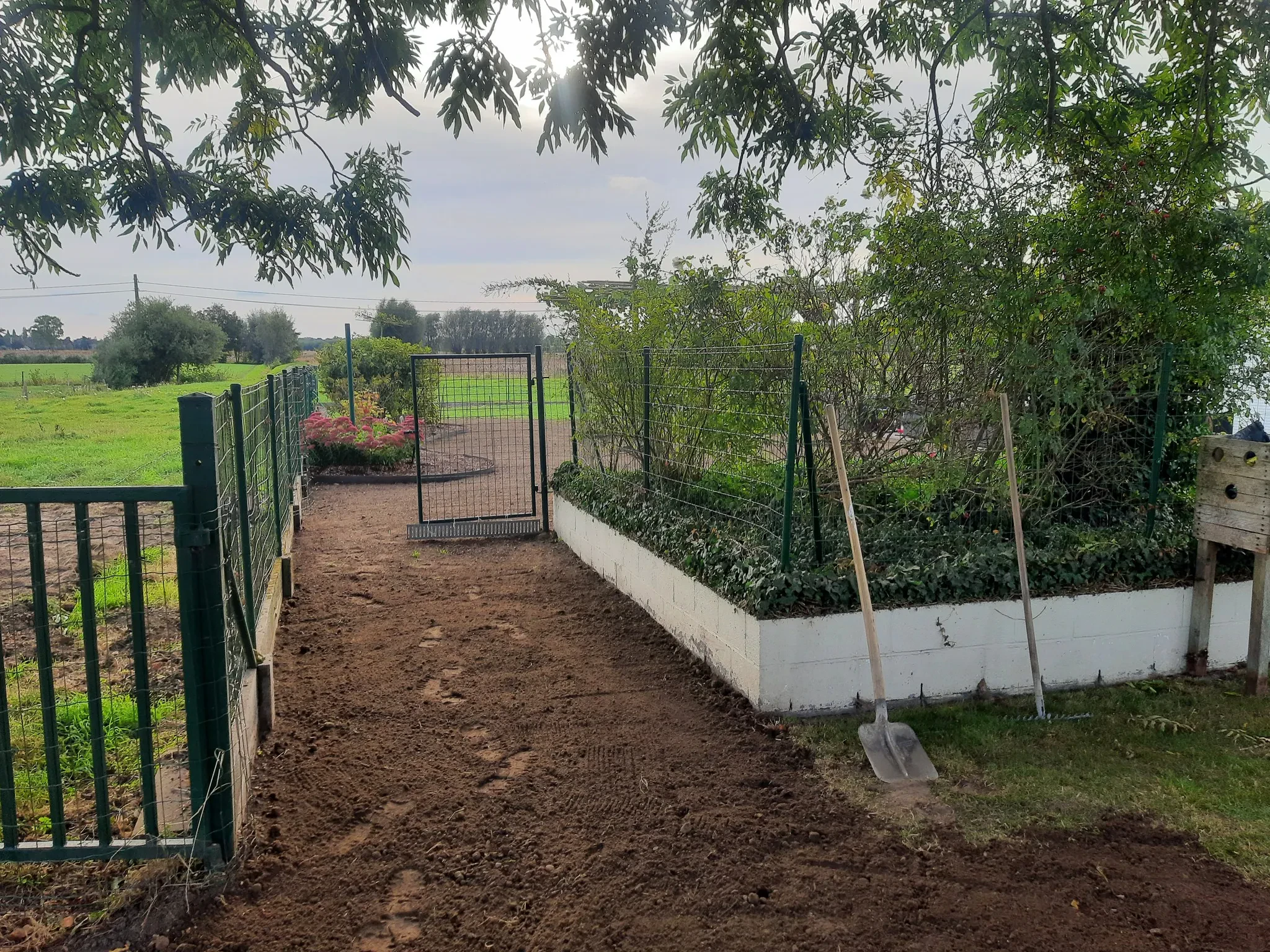 Heraanleg tuin feestzaal met groene pergola voor natuurlijke elegantie 