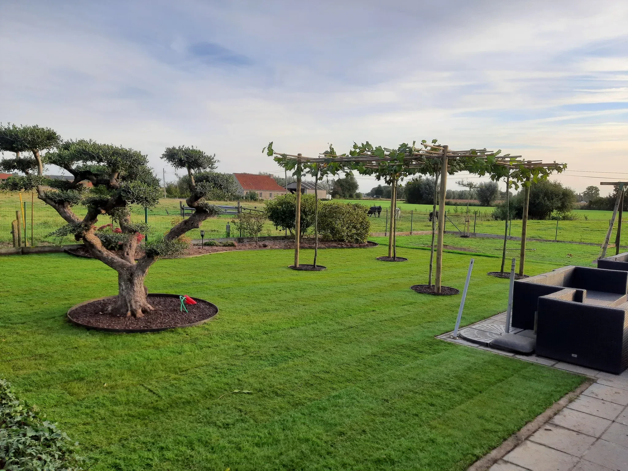 Heraanleg tuin feestzaal met groene pergola voor natuurlijke elegantie 
