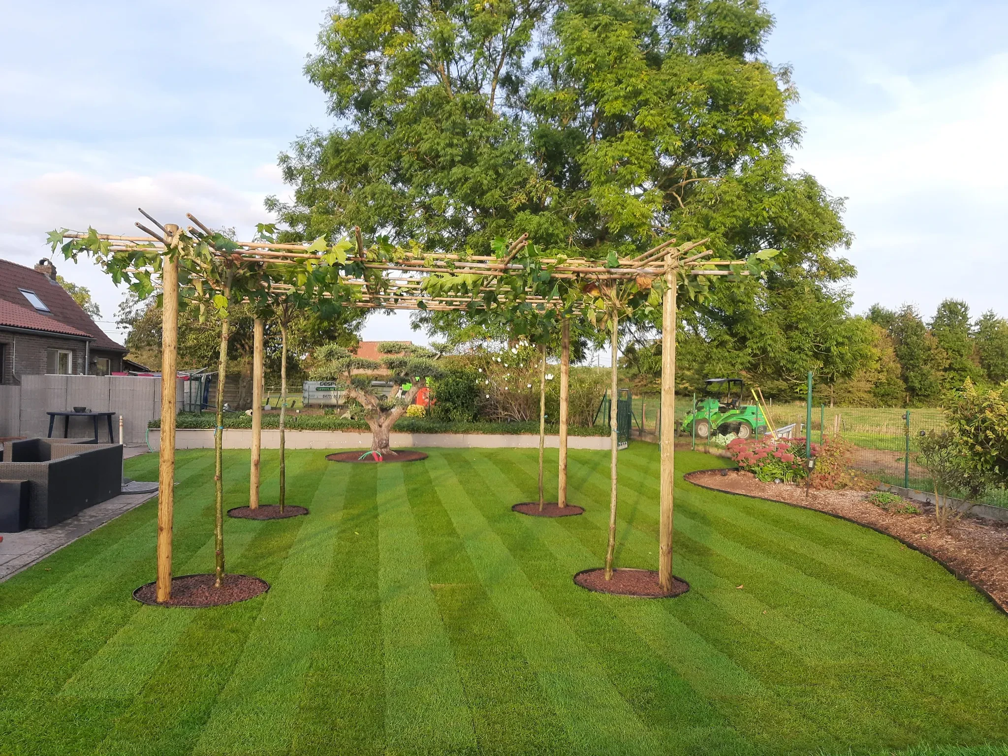 Heraanleg tuin feestzaal met groene pergola voor natuurlijke elegantie 