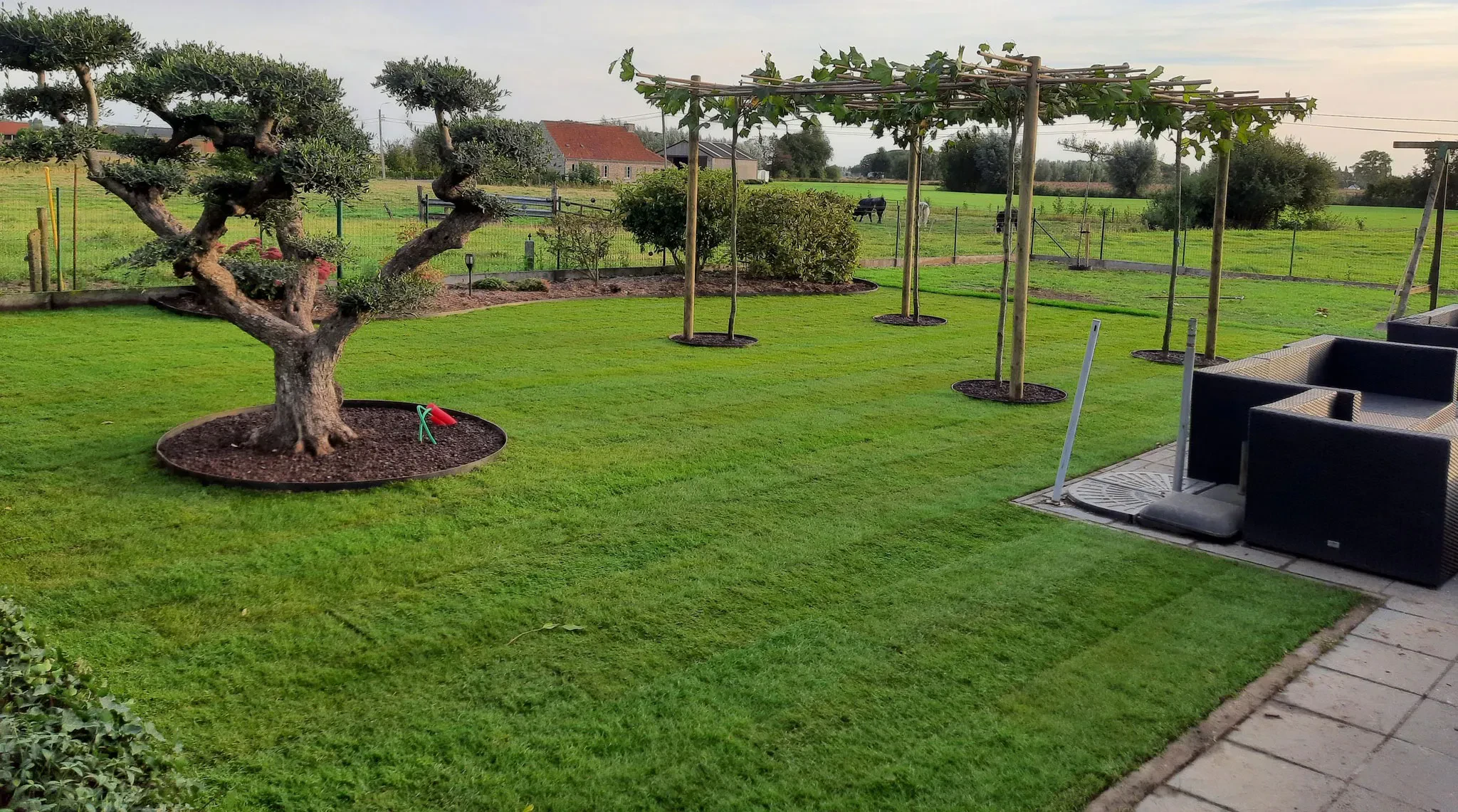 Heraanleg tuin feestzaal met groene pergola voor natuurlijke elegantie 