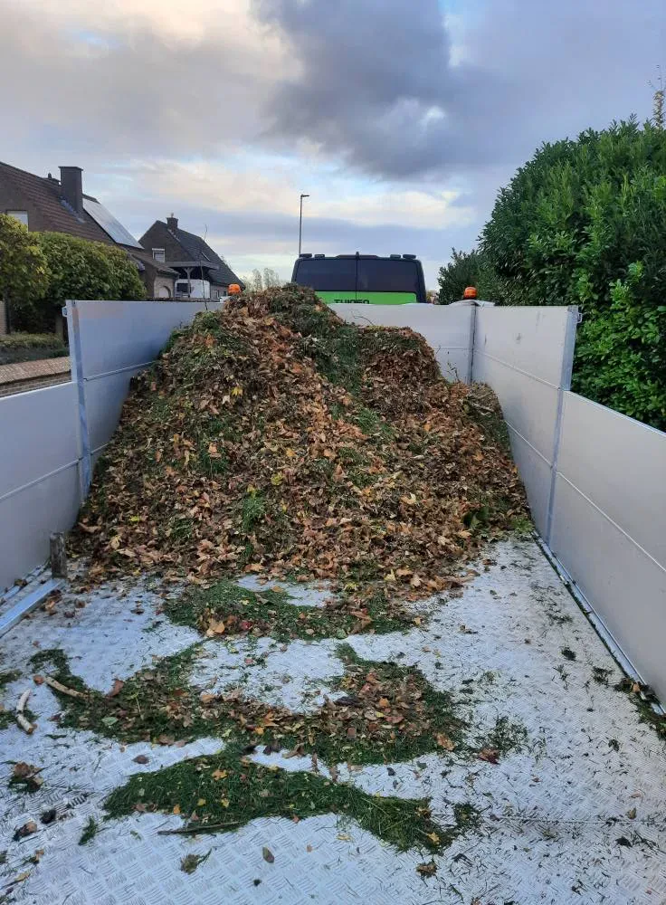 Wekelijks of tweewekelijks onderhoud van je gazon, groot of klein 