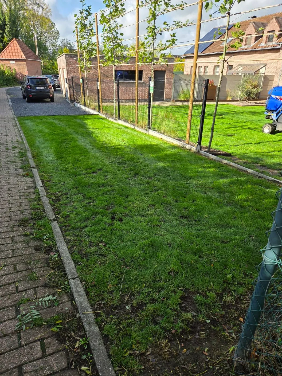 Wekelijks of tweewekelijks onderhoud van je gazon, groot of klein 